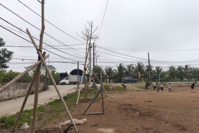 TẠO CẢNH QUAN MÔI TRƯỜNG SÂN GIÁO DỤC THỂ CHẤT